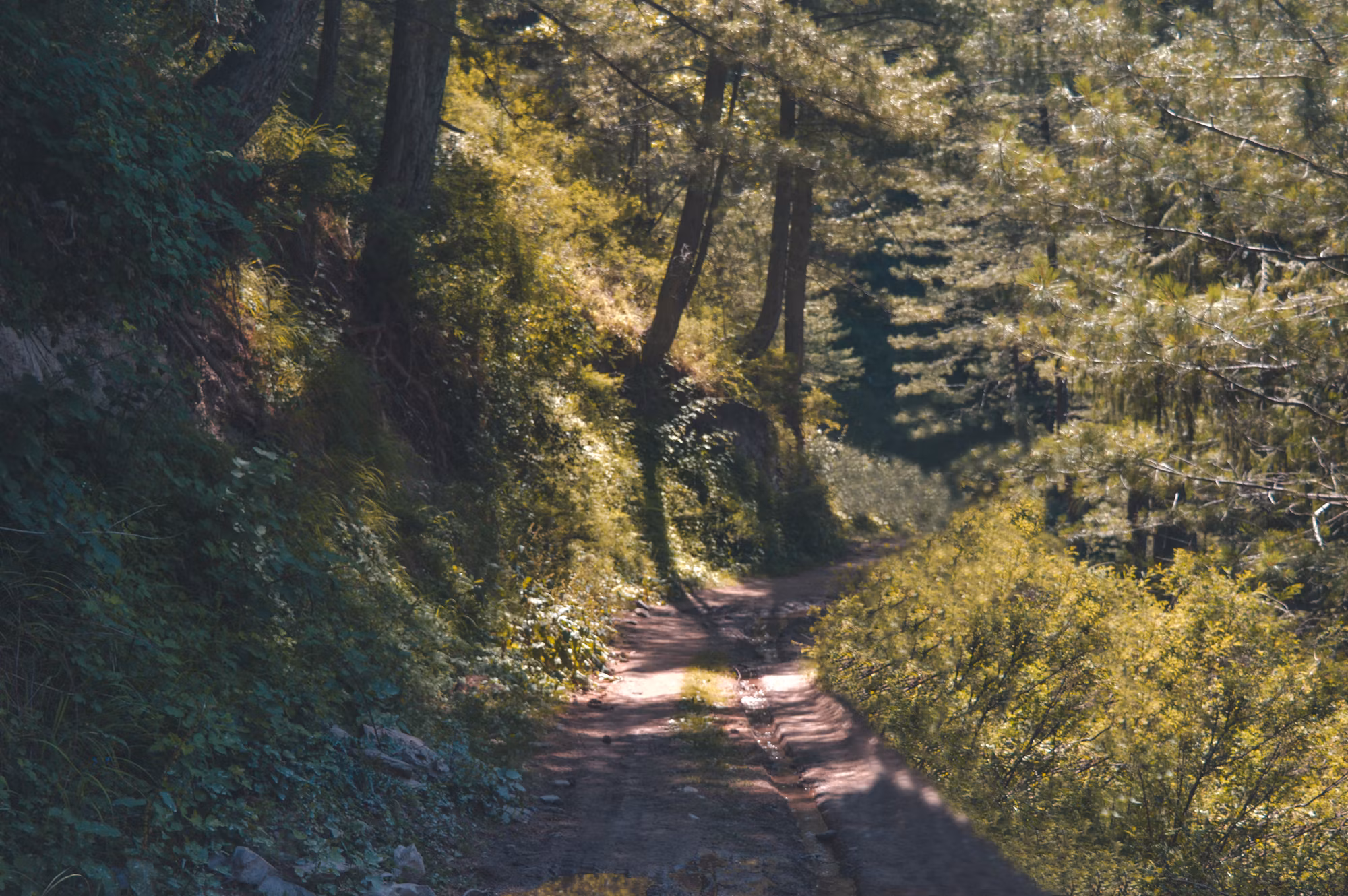 Exploring the World of Overlanding: A Journey Beyond the Road